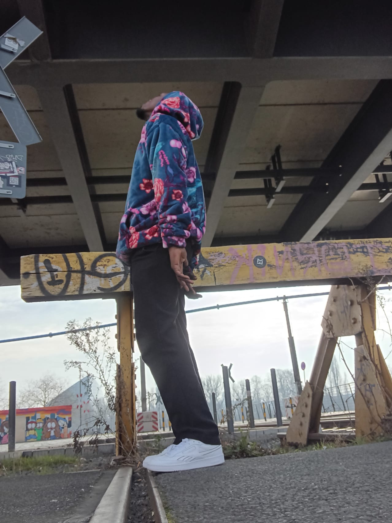 Hoodie Cosmic Flowers